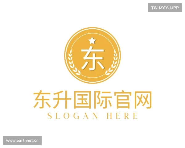 解读东升国际官网
